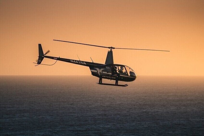 Private Helicopter Tour of Beaches & Downtown Los Angeles from Long Beach