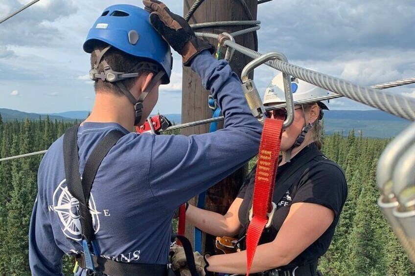 Denali Park Zipline Adventure