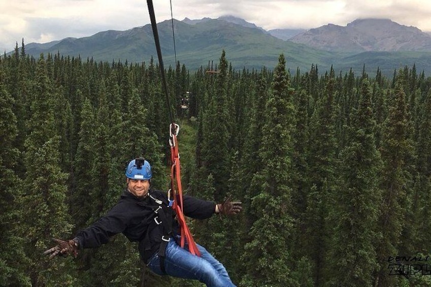 Denali Park Zipline Adventure