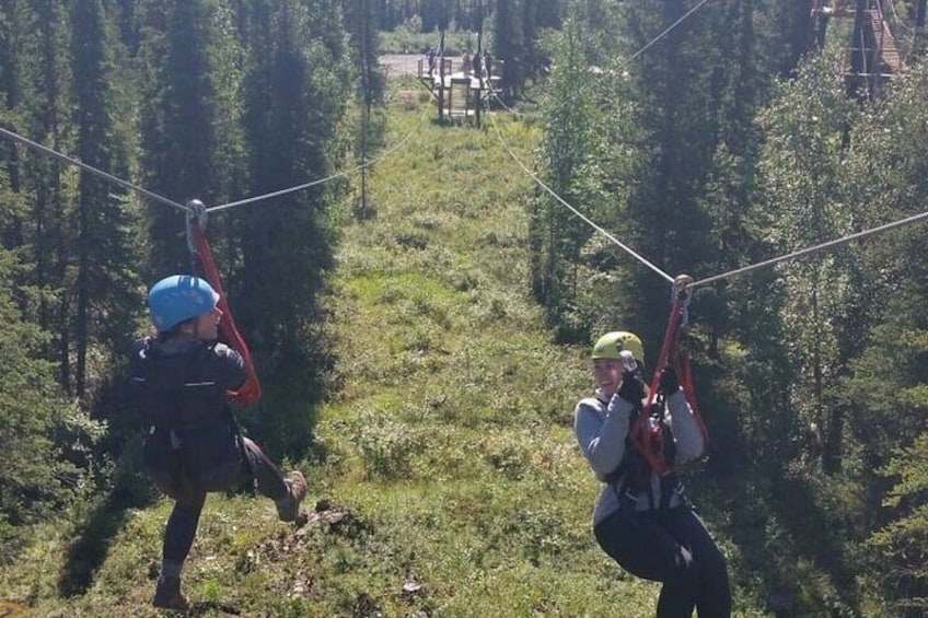Denali Park Zipline Adventure