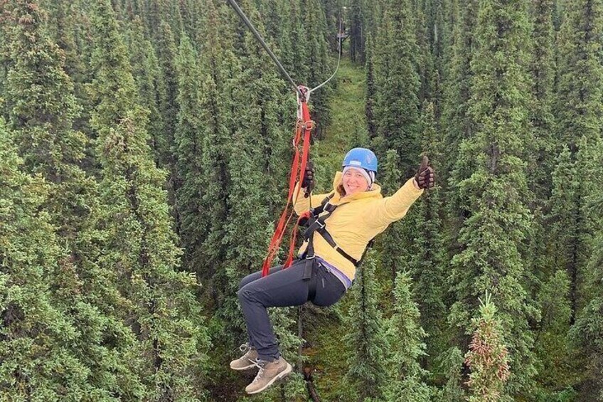 Denali Park Zipline Adventure