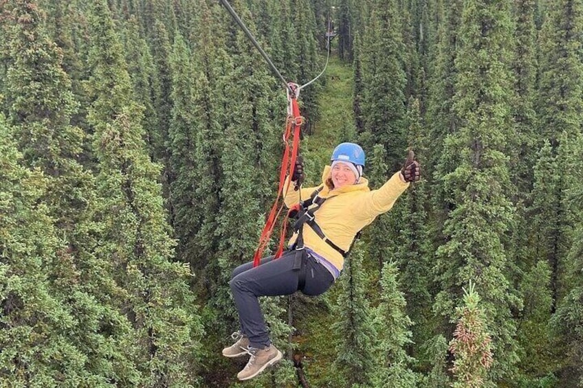 Denali Park Zipline Adventure