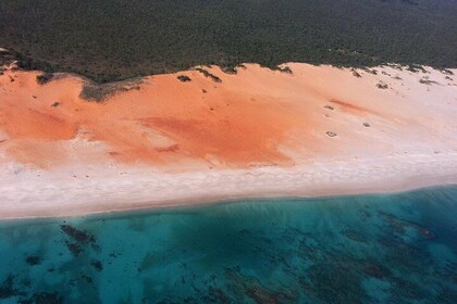 Dampier Peninsula & Aboriginal Communities from Broome (Optional Scenic Fli...