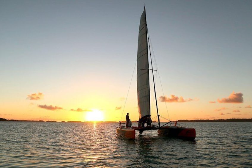 Vitamin Sea Sunset