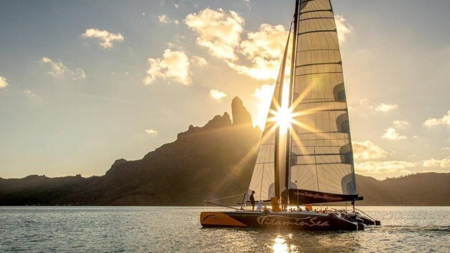 Sunset Sailing