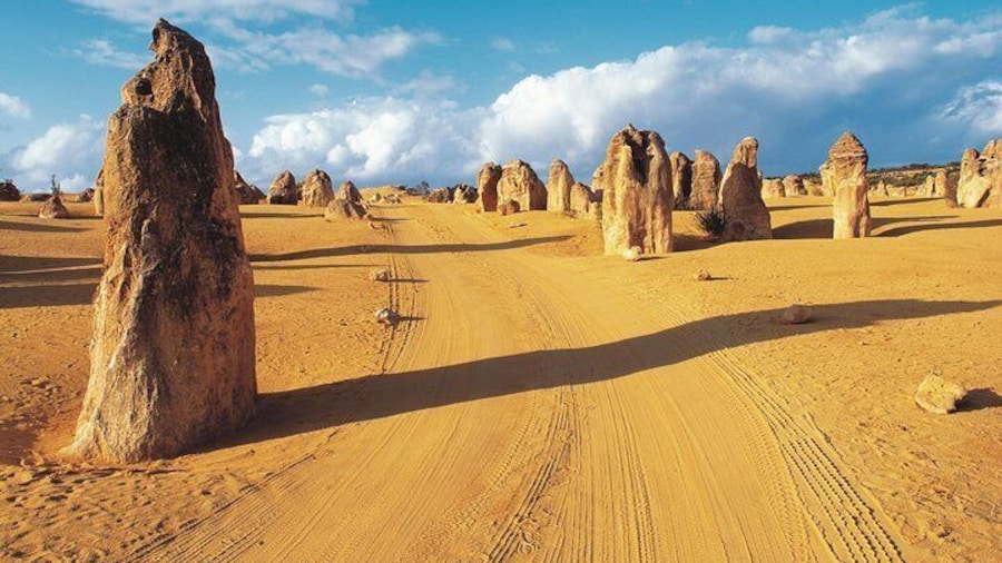 Pinnacles Desert, Koalas and Sandboarding 4WD Day Tour from Perth