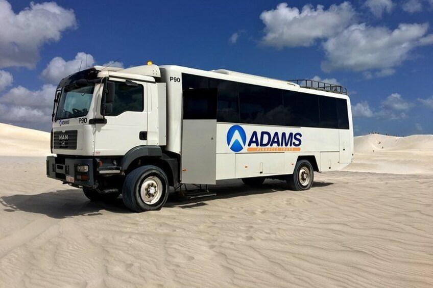 Pinnacles Desert, Koalas and Sandboarding 4WD Day Tour from Perth