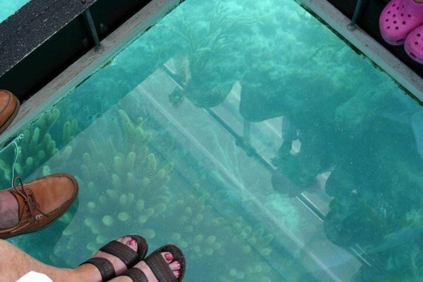 Underwater viewing 