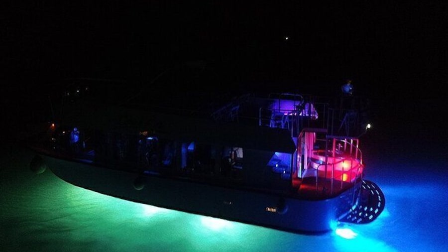 Bermuda Triangle Twilight Cruise