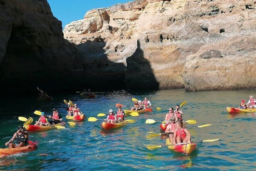 Kayak tour