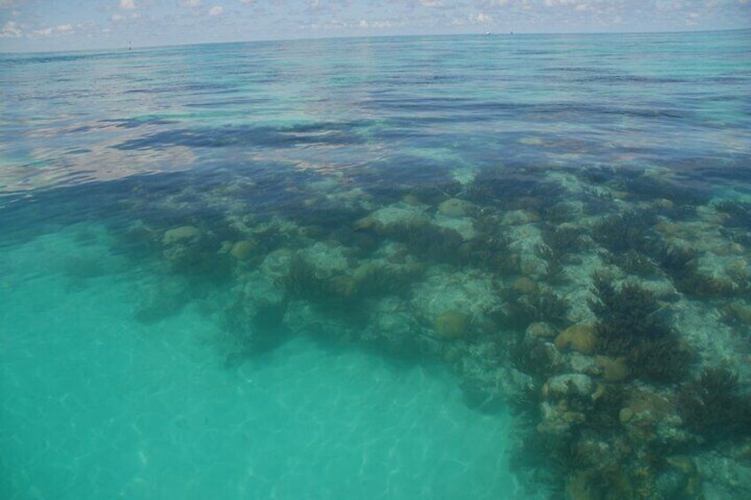 Glass Bottom Boat and Snorkeling Combo in Bermuda