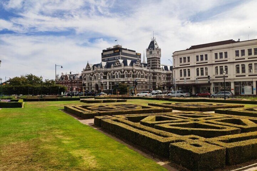 Dunedin City and Coastal Views 3-Hour Small-Group Guided Tour