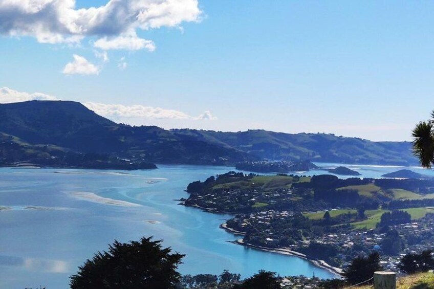 Otago Harbour