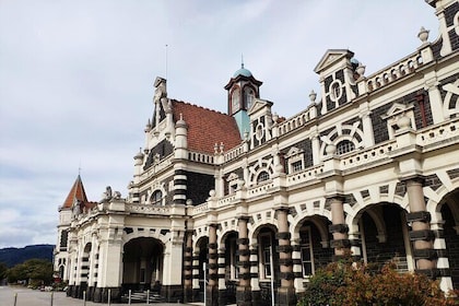 Dunedin City and Coastal Views 3-Hour Small-Group Guided Tour