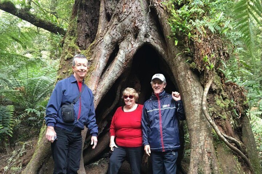 Rainforest walks so close to the coast are surprising! 