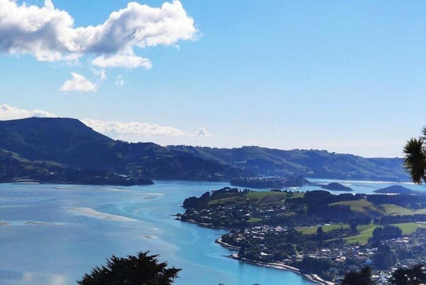 Otago Harbour