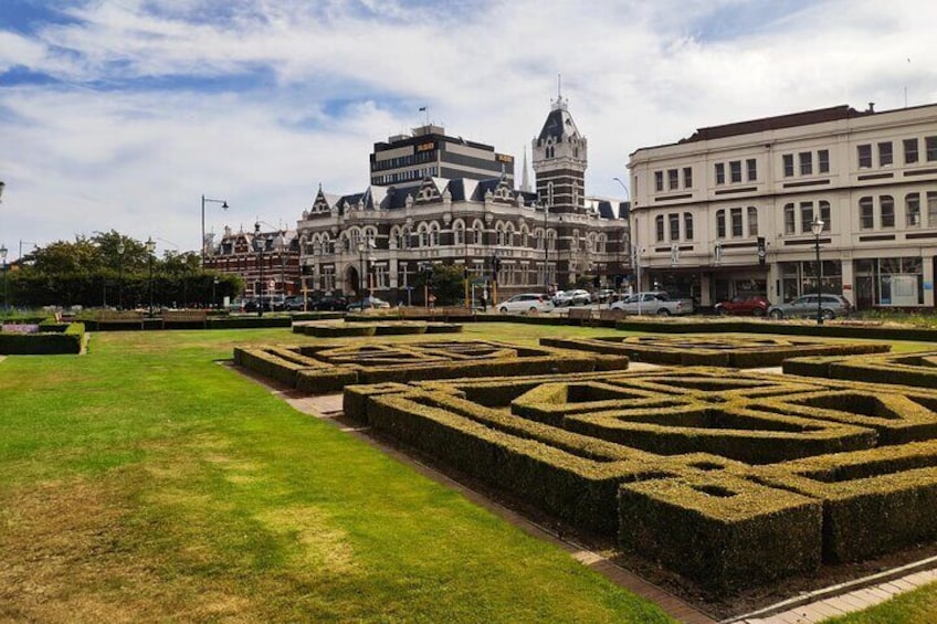 Dunedin City and Otago Peninsula Small-Group Tour