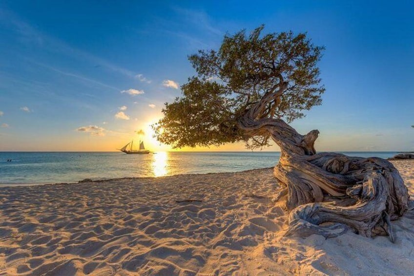  Sunset Pirate Cruise in Aruba