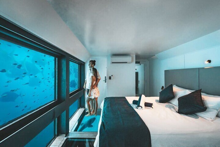 2 Day Great Barrier Reef "Reefsuites" Experience 