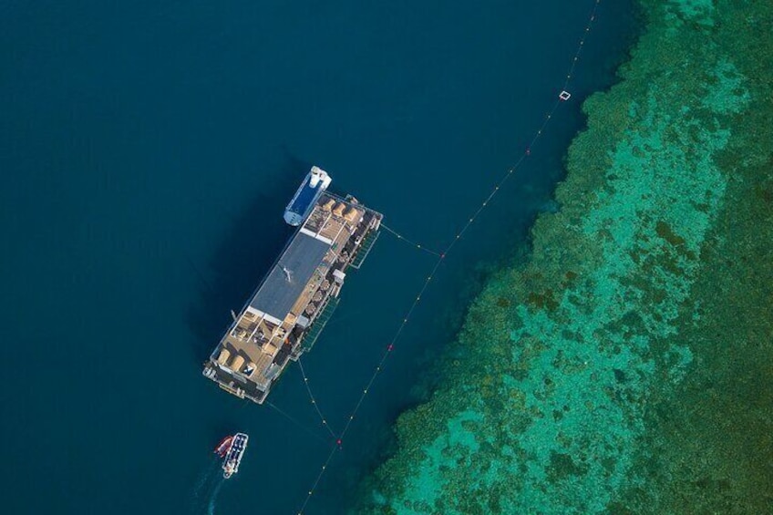 2 Day Great Barrier Reef "Reefsuites" Experience