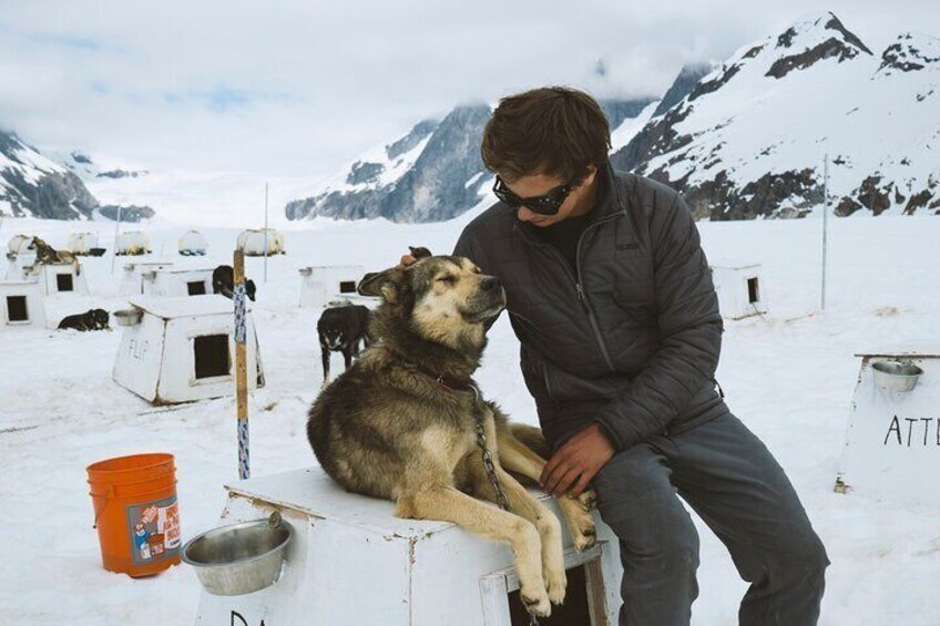 Juneau Shore Excursions: Helicopter Dogsledding Experience and Additional Glacier Landing