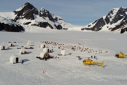 Juneau Shore Excursions: Helicopter Dogsledding Experience and Additional G...