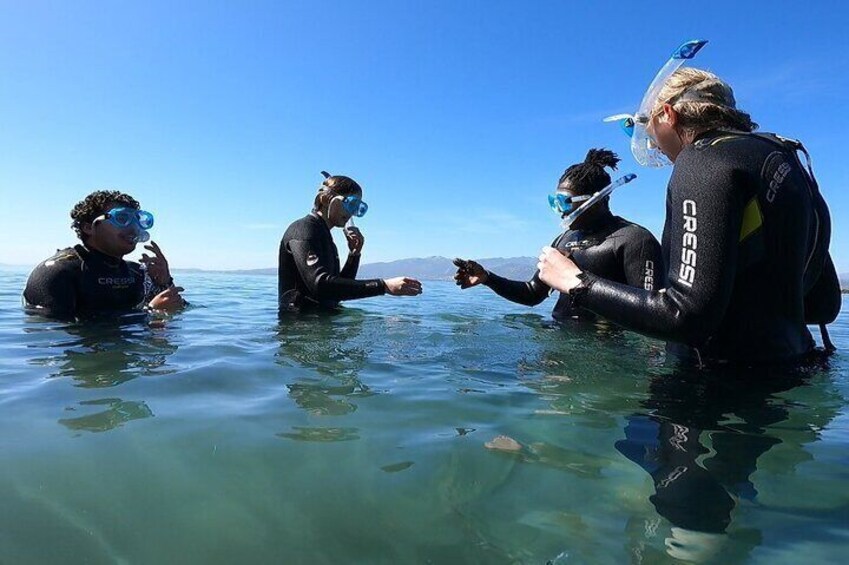 Snorkeling Boat Excursions in Nea Makri Athens