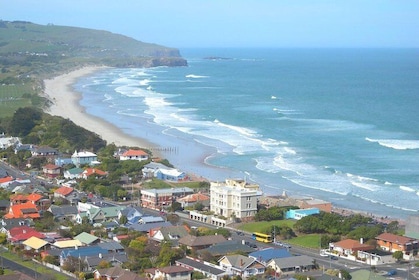 Private Guided Tour of Dunedin City Heritage and Unique Wildlife and Scener...