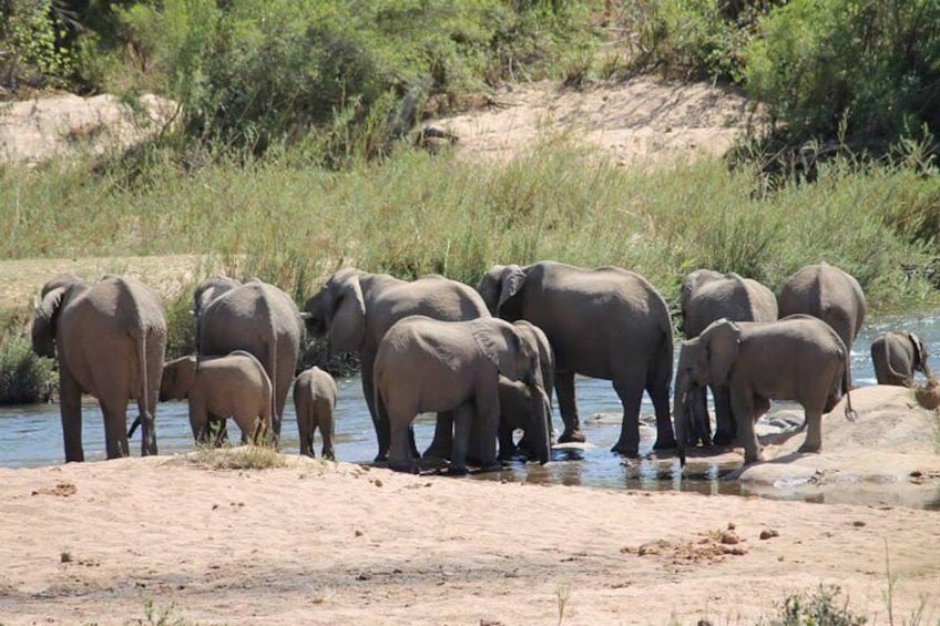 Kruger National Park