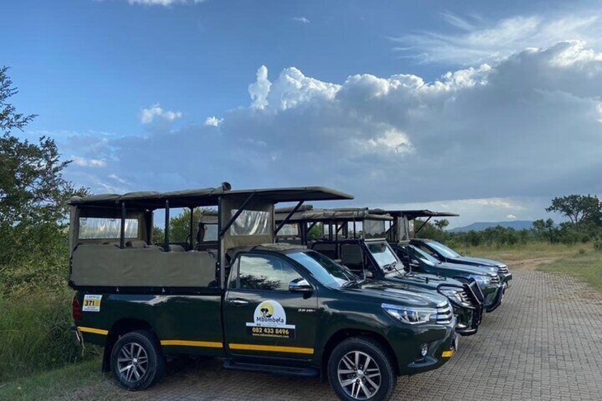 Safari Vehicles!