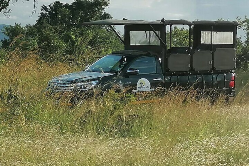 Safari Vehicle!