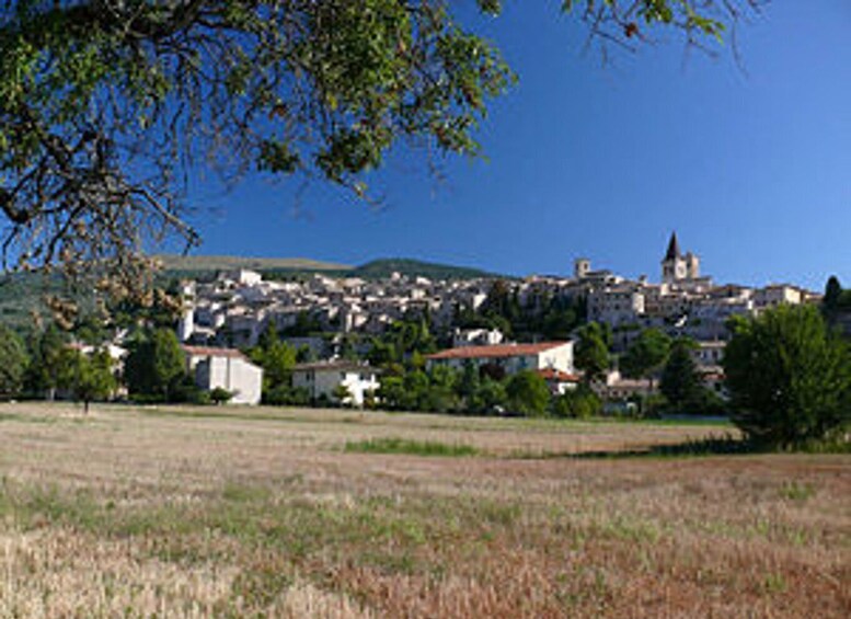 Picture 6 for Activity Assisi and Spello Full-Day Sightseeing Tour