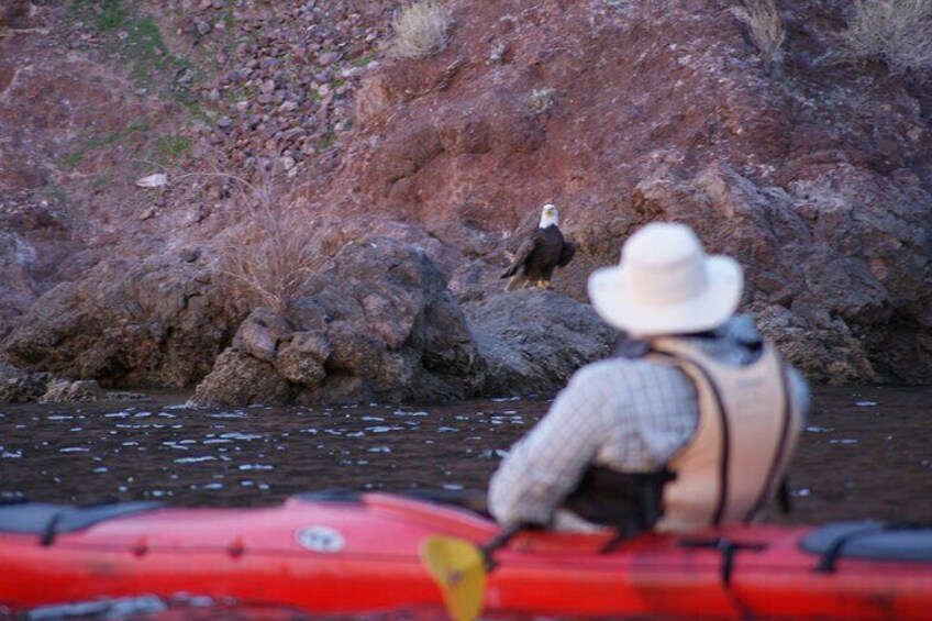 Kayak Hoover Dam with Hot Springs from Las Vegas