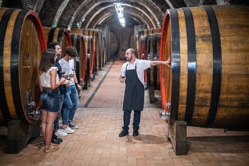 Tour of the historical cellars in Montepulciano