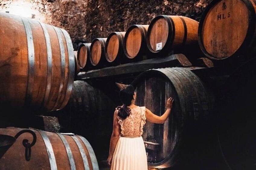 Tour of the historical cellars in Montepulciano