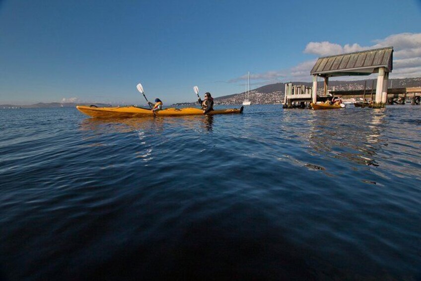 Kayaking on the River Derwent in Hobart