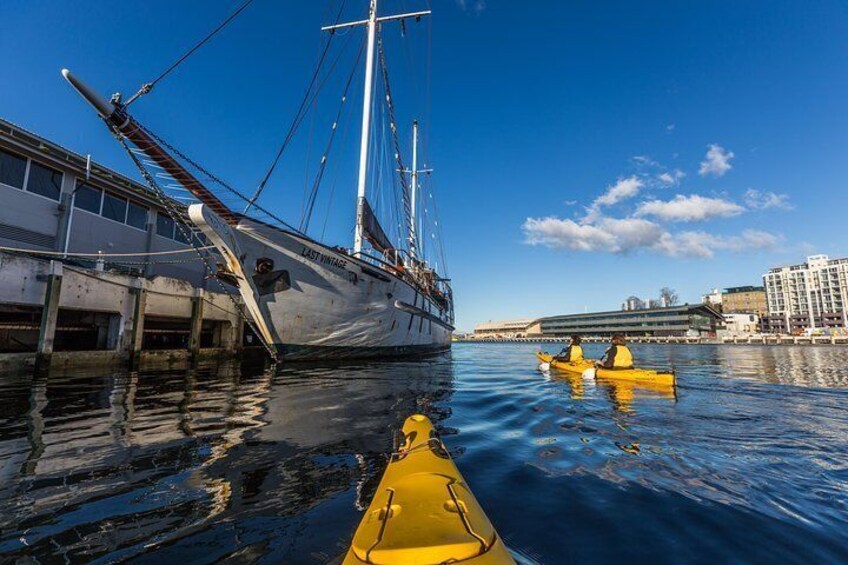 Exploring the Hobart Waterfront on kayaks