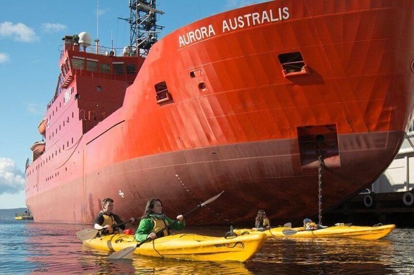 Kayaking past the Antarctic Expedition Ship Aurora Australis