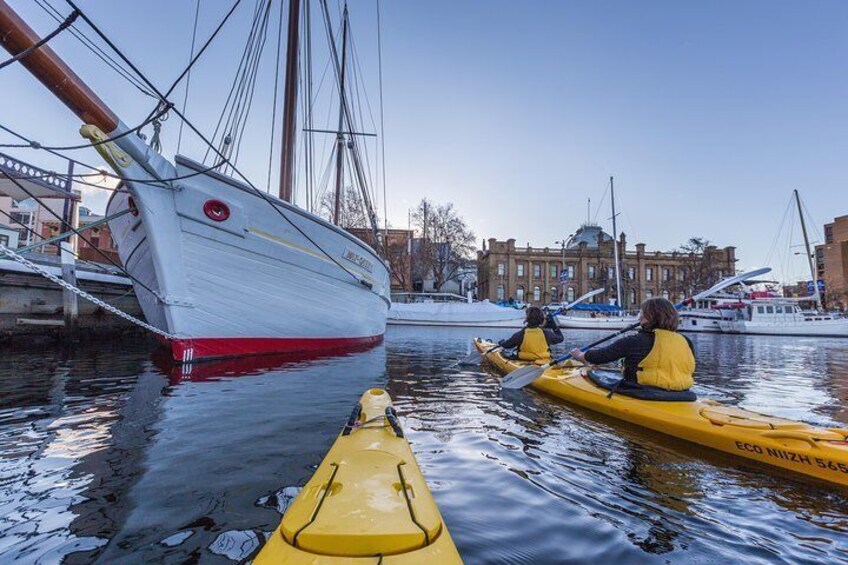 Exploring the Hobart Waterfront on kayaks