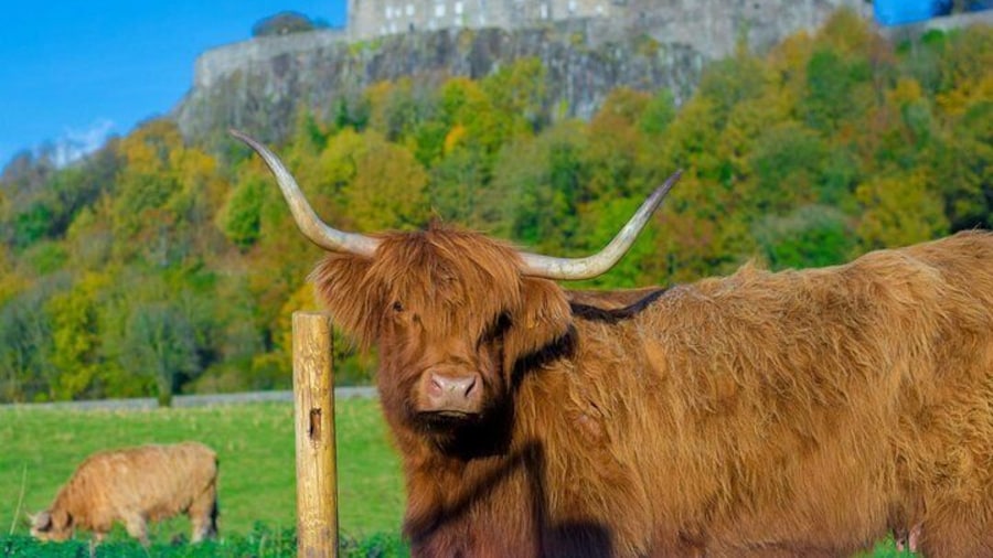 Meet the locals!