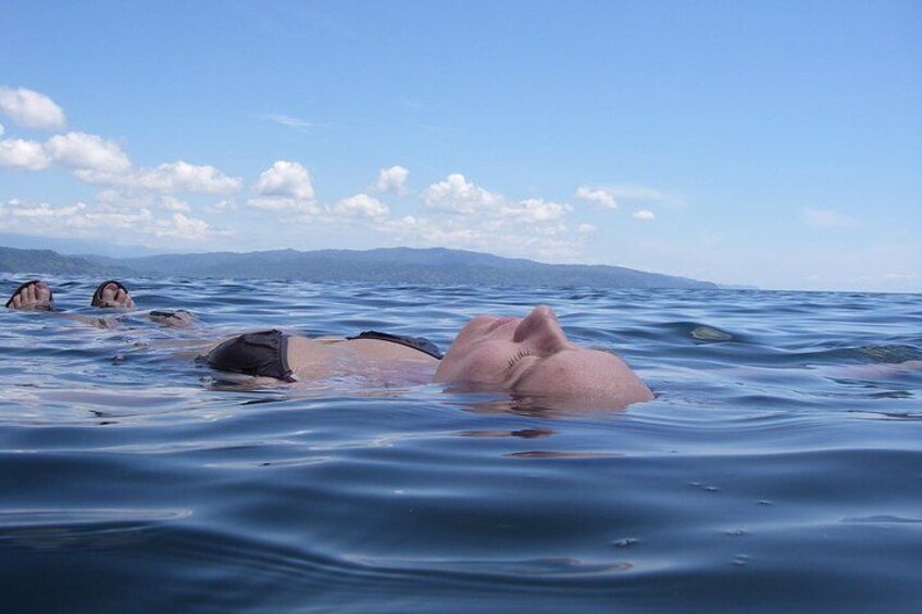 Bio-Luminescence and Sunset Kayak Tour