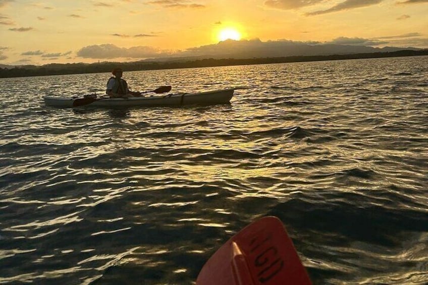 Bio-Luminescence and Sunset Kayak Tour