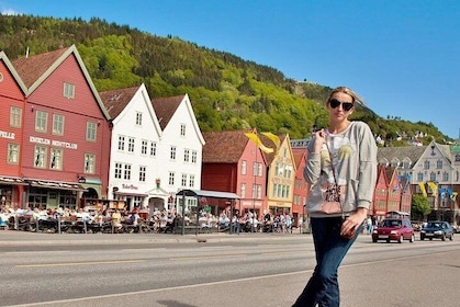 PRIVATE TOUR: Bergen city sightseeing, 5 hours