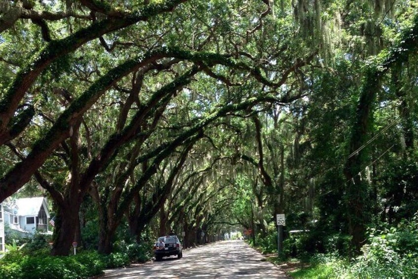 Private Guided Historic Electric Cart Tour of St. Augustine