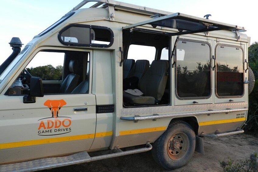 Addo Elephant 5 hour Morning Safari.