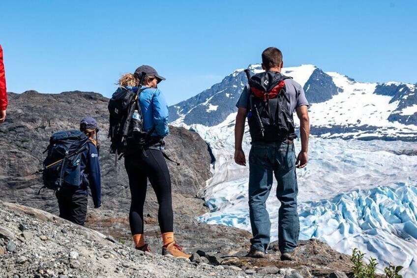 Juneau Shore Excursion: Mendenhall Glacier Guided Hike