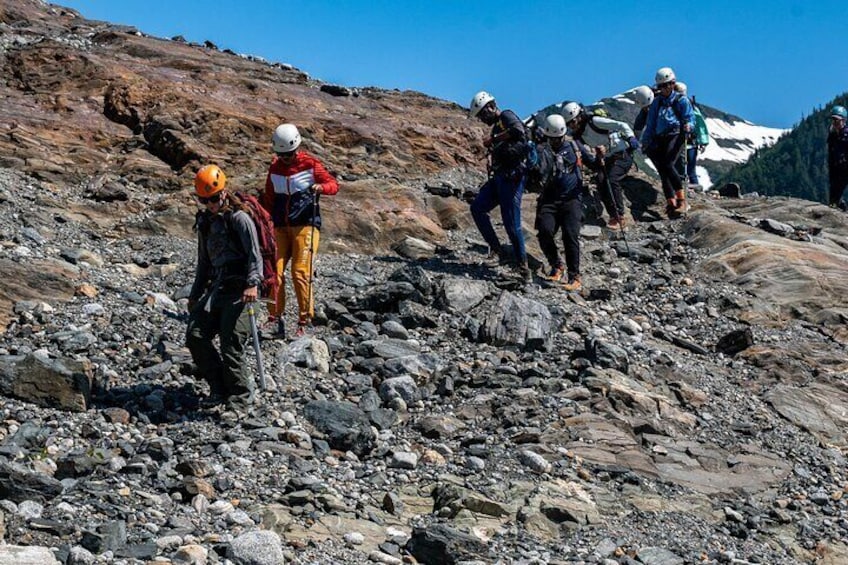 Juneau Shore Excursion: Mendenhall Glacier Guided Hike