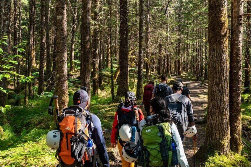 Juneau Shore Excursion: Mendenhall Glacier Guided Hike
