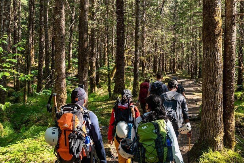 Juneau Shore Excursion: Mendenhall Glacier Guided Hike