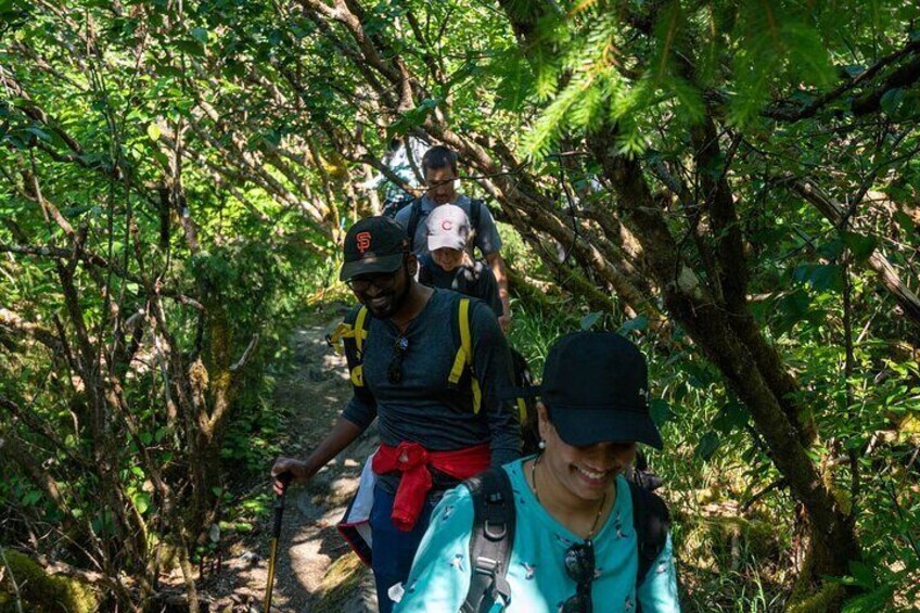 Juneau Shore Excursion: Mendenhall Glacier Guided Hike